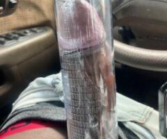 West Palm Beach escorts - West Palm Beach Male Escort — 10 Inch Mr. Long Thick Curved
