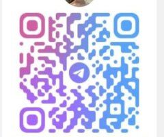 Fort Myers Florida Female Escort — In-calls/Out-calls & Car Fun - Image 4