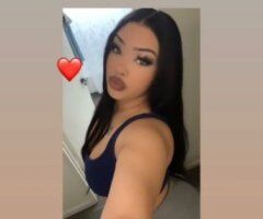 Minneapolis / St. Paul Mixed Beauty Escort (WhatsApp/Insta) - Image 4