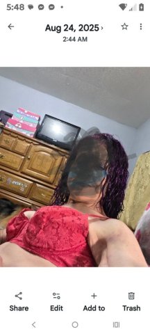 Ocala FL Female Escort — GFE, rubdowns, coffee, cuddles - 1