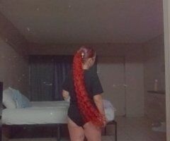 Tampa escorts - Tampa Female Escort — Camera-Ready QV, HHR, and HR Rates