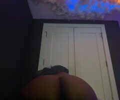 Brooklyn escorts - Brooklyn In-Call & Out-Call Escort — Text for Rates