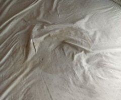 Beaufort SC Escort — Back, Foot Massage, Cooking & Oral - Image 3