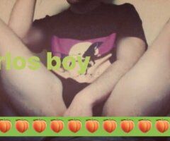 Norfolk Bottom Tight Only Latin Boy - Image 2