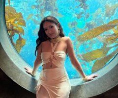 Tampa Female Escort at Voyage Aromatherapy Studio (Incall Only) - Image 6