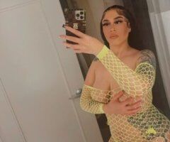 Washington D.C. In-Calls & Outcall Escort — Ariel - Image 4