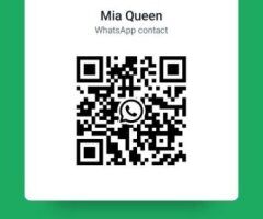 Tampa Male Escort — New contact number for fast replies - Image 5