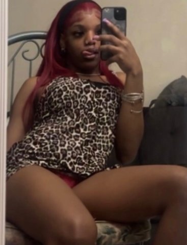 Miami QV Half Hour Specials — Incalls - 1