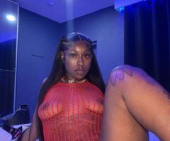West Palm Beach Outcalls — Discreet Female Escort (No games) - Image 3