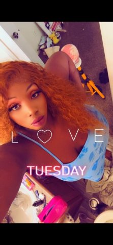 Las Vegas Female Escort — GFE, Anal, BJ, Footjob, Shower Sex, 69, Doggy Style - 1