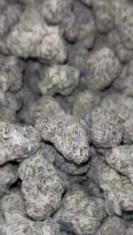 Gas On Deck⛽ - 1