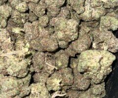 Gas On Deck⛽ - Image 2