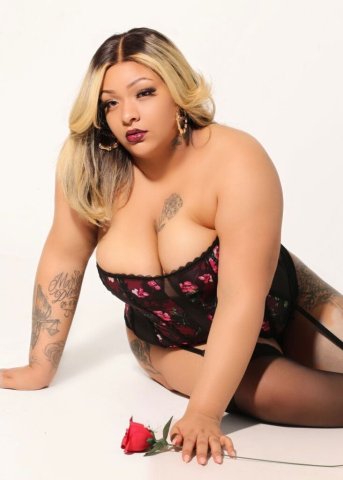 Exotic Babe (100 Special) — Mixed Bombshell in Fargo, ND - 1
