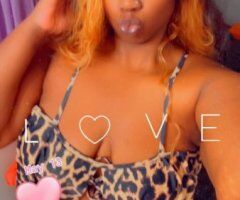 Las Vegas escorts - Las Vegas Female Escort — upscale incalls, BBJ, GREEK, ANAL, GFE, massage