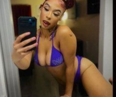 Dallas escorts - North Dallas Bri — Upscale drama-free Female Escort (incalls & outcalls)