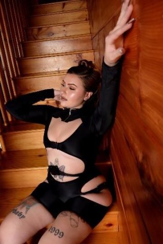 Sarasota/Bradenton FL Massage Specials + Adult Content - 1