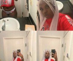 St. Louis Female Escort — In-calls, Cardates, and Outcalls - Image 11