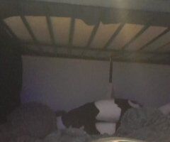 Keys, Florida Male Escort — older-woman preference - Image 4