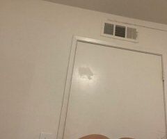 Folsom Luxury Companion — FaceTime Required - Image 6