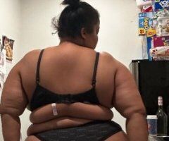 Bronx escorts - Bronx Female Escort — No outcalls, no raw, text-only info