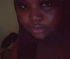Miami Female Escorts — Anal, Creampie, and BBJ/Hand Jobs - Image 5