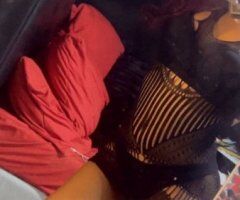 Bronx Female Escort — Incalls Only (Cash/CashApp) - Image 6