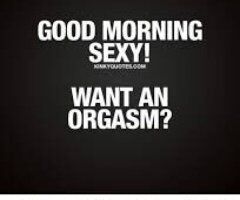 Sweet, Shy Female Escort — Stress-Relief Quick Stop BJ, Incall or Outcall/Car Date - Image 6