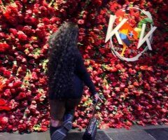 Baltimore Thick Ebony Escort — Incall Only (BBJ & QV) - Image 4