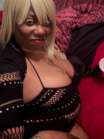 San Antonio Curvy Female Escort — Catch What You Throw - 1