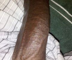 St. Louis escorts - DL Verse Daddy Dick — 8.5 inch hosting only