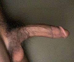 Young Male Escort in Tampa — No Limits - Image 7