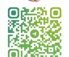 27-Year-Old Incall/Outcall Female Escort — FaceTime, Hotel & Car Fun - Image 4