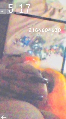 Cleveland, OH Female Escort — Outcalls, Anal + Head - 1