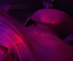 Modesto escorts - Sweetest Fantasy (No Bare) — Outcalls or Cardates