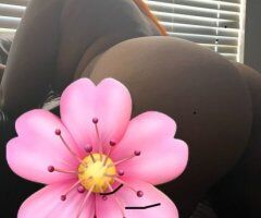 Galveston Texas Big Juicy Papi Play Female Escort (Incalls & Outcalls) - Image 4