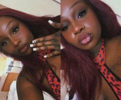 West Palm Beach Incall Blowjob Safe Space  Blow Pop - Image 4