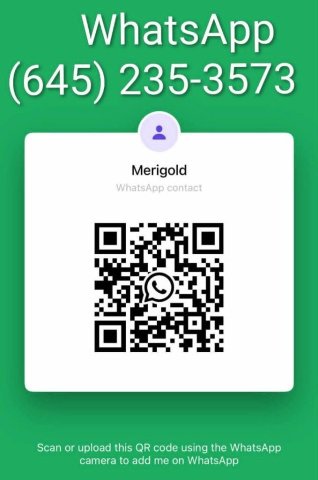San Francisco Adult Female Escort — Video Chat & Sell Content, Incalls/Outcalls - 1