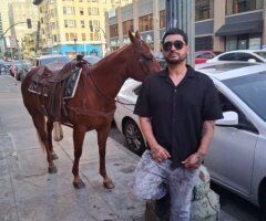 San Francisco Male Escort — body rubs, back shots, role play - Image 2