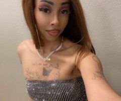 Denver escorts - Paradise — Upscale Young Companionship (Denver Outcall)