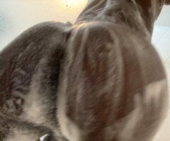 Discreet Tight & Fun Sessions () — Houston Outcalls - Image 7