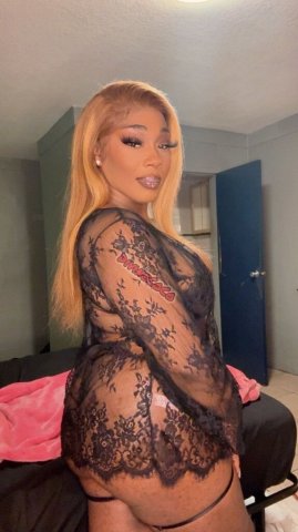 Tampa Incall Only Female Escort — Incall specials, FT required, donations & rules - 1