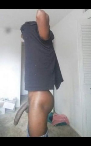 Concord Male Escort — Top services, outcalls, incalls, and car dates - 1