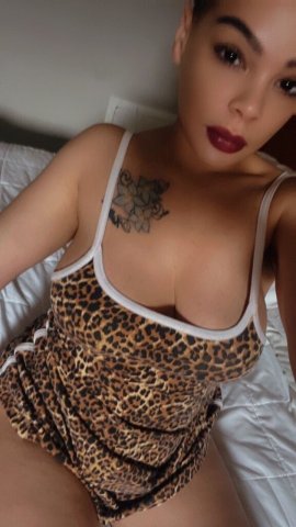 Akron/Canton Female Escort — Wednesday Special - 1
