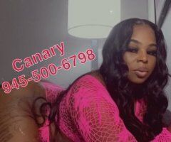 Dallas Limited Time Escort — Facetime & Content, Soft & Sexy - Image 2