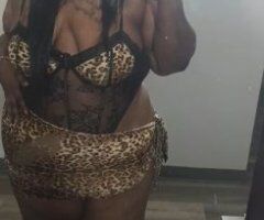 Chicago escorts - Chicago IL Cardate Special — $40 Head (15 mins, In/Call)