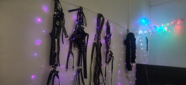 Cincinnati Erotic Massage & Professional Pegging (Text for setup) - 1