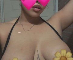 Houston Tayste of Honey — Incall Only (Verification + Deposit) Female Escort - Image 5