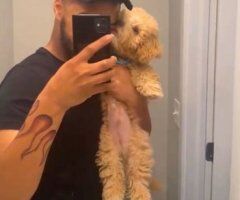 Waterbury escorts - Waterbury CT Daddy Content — Verse Male, Videos & 9-Inch Dick