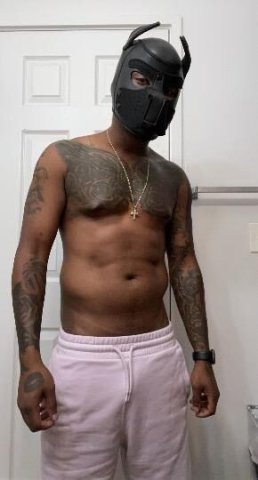 Hartford CT 9.5 Inch BBC Male Escort — Top/Bottom, Call & Out-Call, Massages - 1