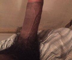 Colorado Springs escorts - Colorado Springs Black Male Escort — Incall & Outcall